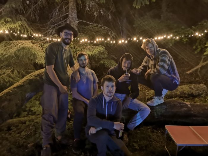 free and chips dans une forêt avec des guirlandes